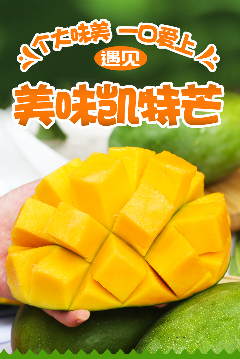 四川 凯特芒 净果9斤 单果250-500克 图1