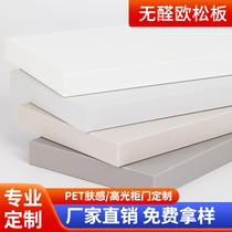 pet cabinet door custom-made cabinet hearth hearth cabinet door wardrobe Osson plate balcony cabinet bookcase door panel door panel door panel full house reservation made