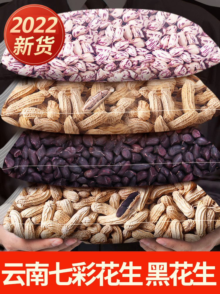 2022 New Yunnan Colorful Peanut Bean with Shell Cooked Field Black Peanut Rice Fresh Colorful Peanut Seeds