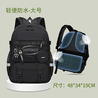 Большой черный