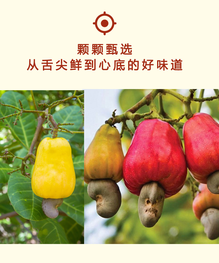 【味渝堂】精品盐焗紫皮大腰果500g