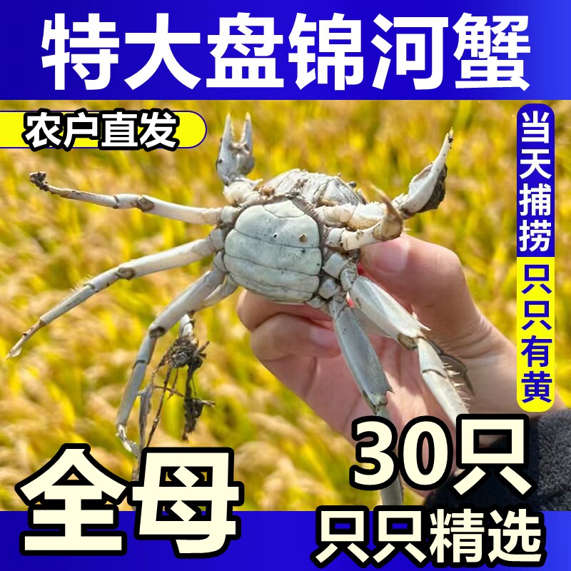 萌萌河蟹的LOGO