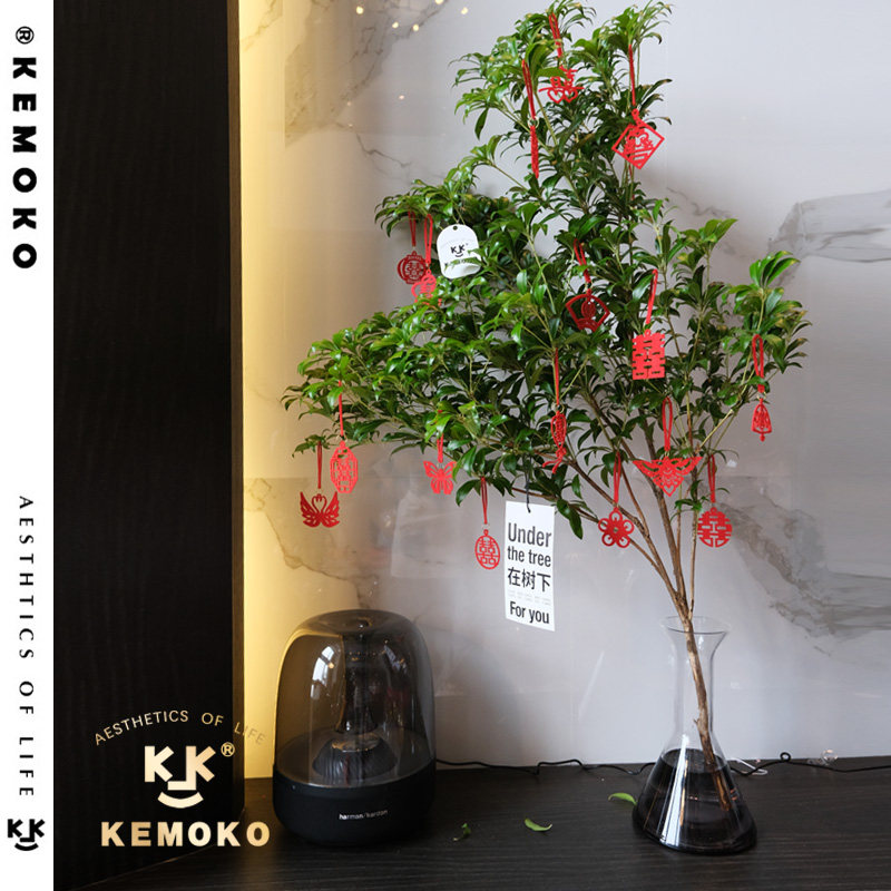 KEMOKO original wedding room layout Living room bonsai pendant Wedding plant decoration Non-woven pendant scene layout