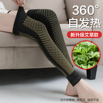 Egrass Spontaneous Heat Lengthened Kneecap Cover Old Chill Leg Warm Leg Warm Leg Joint Woman Mid-Old cold-proof Moxibustion Male wear