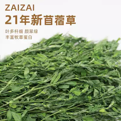 再再紫花苜蓿草21幼兔子龍貓荷蘭豬豚鼠乾草料糧飼料食物用品