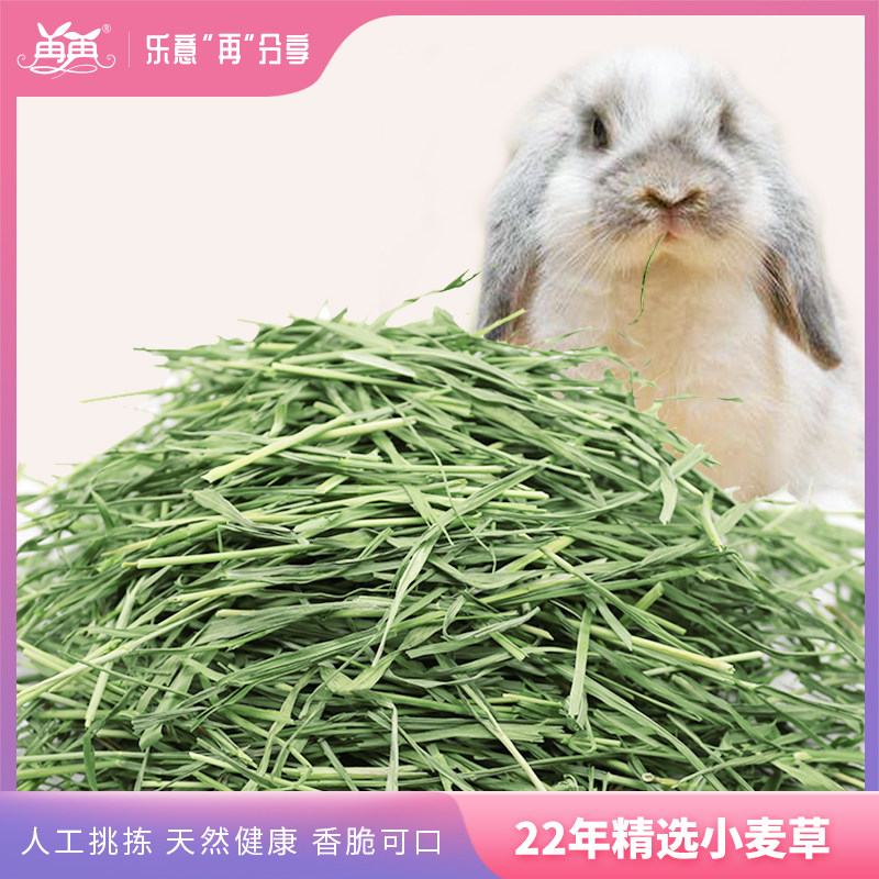 22 more years of drying wheat straw rabbit Dutch pig dragon cat guinea pig dried grass pasture grass grain feed gross 1kg