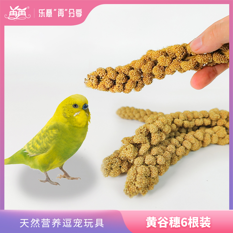 Parrot Natural Valley Spike Millet with shell Huanggu Zixuan Phoenix Tiger Leather Bird Food Bird Grain Feed Wenbird Pearl Bird Snacks
