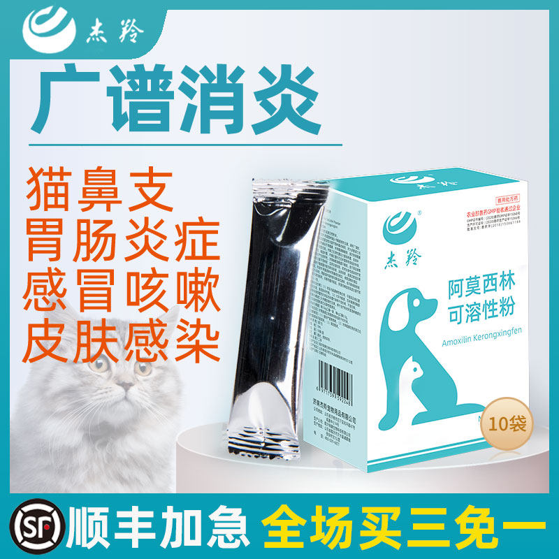 Pet Amoxicillin Skin Wound Infection Healing Antiinflammatory Slices Pink Kitty Dog Sensation Meds Special Cat Noses