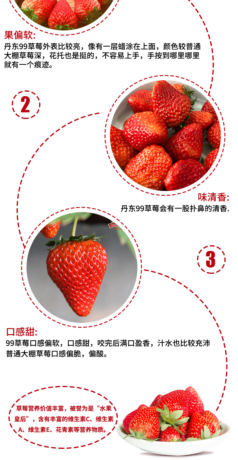 玖玖农场 丹东东港 99红颜奶油草莓 3斤 图5