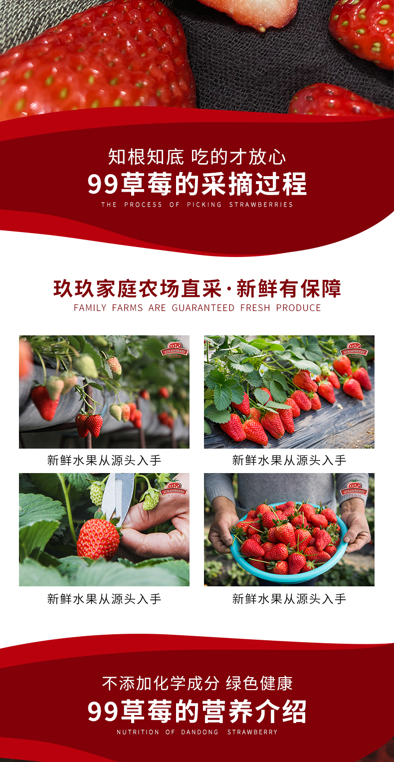 玖玖农场 丹东东港 99红颜奶油草莓 3斤 图3
