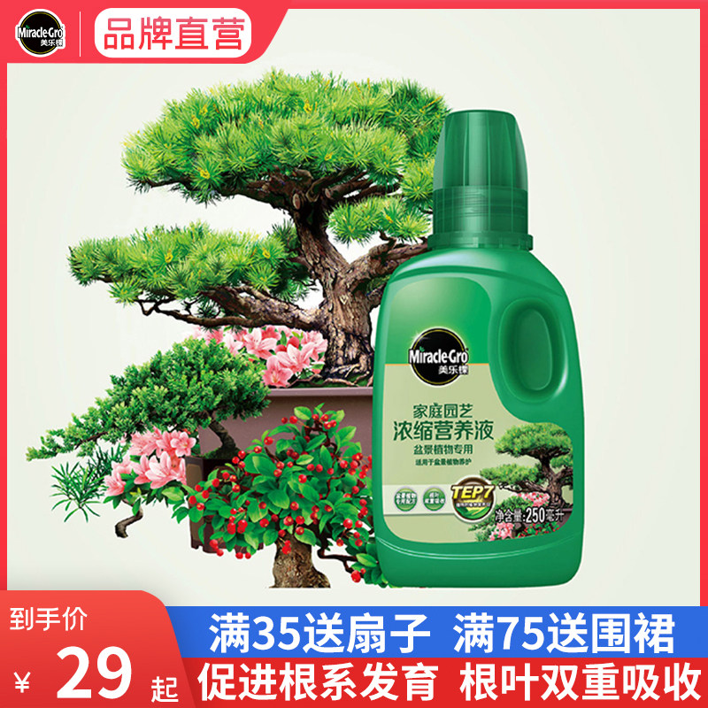 Beauty Letree Bonsai Bonsai Special Type Nutrient Solution Family Gardening Plant Potted Plant Conservation Concentrated Liquid Fertilizer 250ml