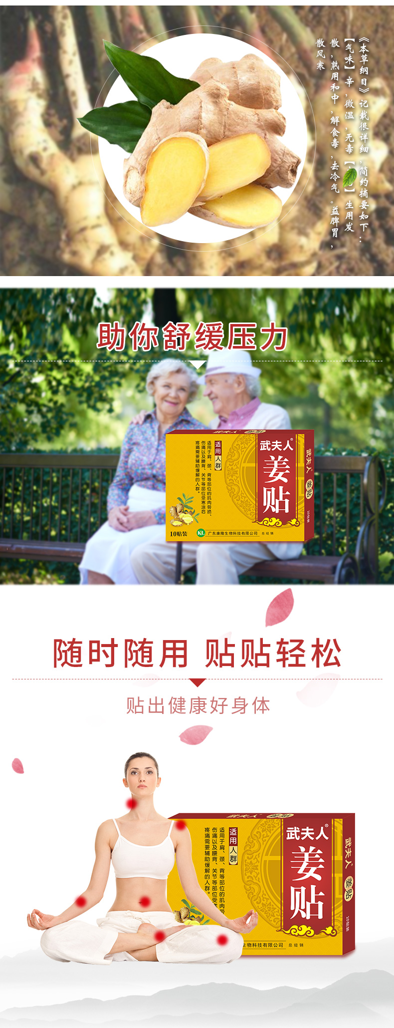 武夫人  颈肩腰腿艾灸热敷生姜贴  10贴 图2