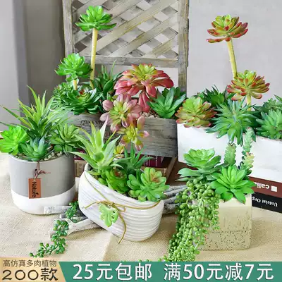仿真多肉植物假花绿植墙办公室桌面室内装饰仙人掌小摆件组合盆栽