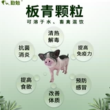 Гранулы Banqing используют расчистку и детоксикацию тепла, чтобы предотвратить простуду и предотвратить появление тепла на розовых зверях Banlangen для свинины, овец, курицы, цыплят