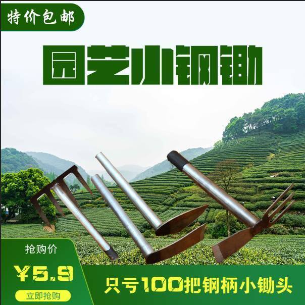 Steel shank hoe weed Weeding Harrowing Seed Varieties of Flowers Digging Shoots Pine Earth Theorizer Dual-use Digger for Home Agricultural Gardening Tools