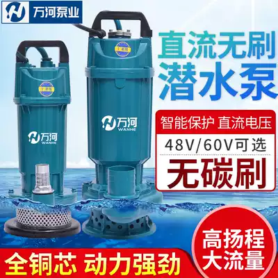 Wanhe Brushless High Head Flow Submersible Pump 12V24V48V60V Agricultural Watering Vegetable Small Electric Vehicle Pump