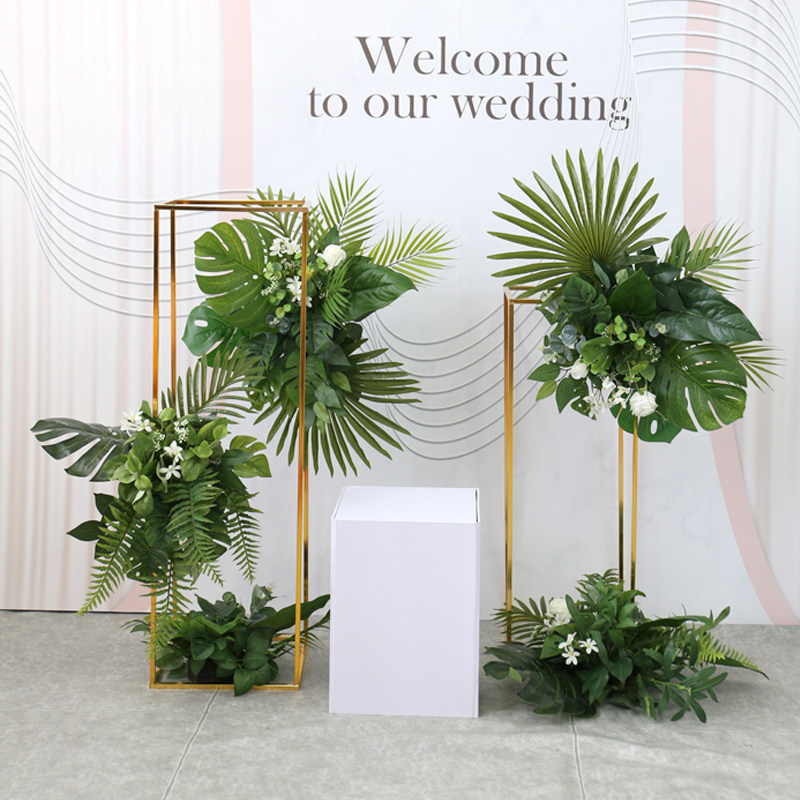 Scene layout combination frame tropical simulation green plant indoor activities stage studio background soft layout