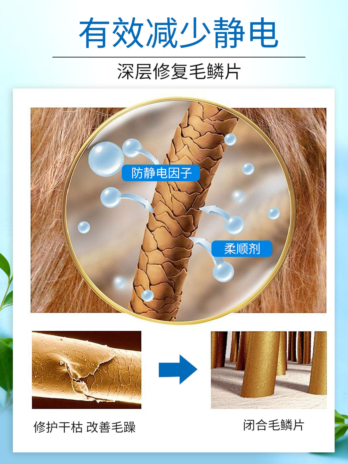 Pet Hair Detangling, Smoothing, Bathing Care, Fluffy Hair, Special Hair Care for Cats and Dogs, Bichon Frise, Antibacterial and Deodorizing