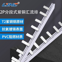 Customized 2P electrical busbar tinned copper air switch wiring strip distribution box circuit breaker segmented connection strip