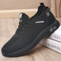 Summer Flying fabric Noodles Sneakers Mens Breathable Softbottom Dad Bodybuilding Shoes Mens Deodorant Mesh Slim CASUAL SHOES