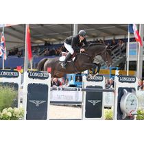 Ikonic obstacle belly belt Xinjun harness IKO5505