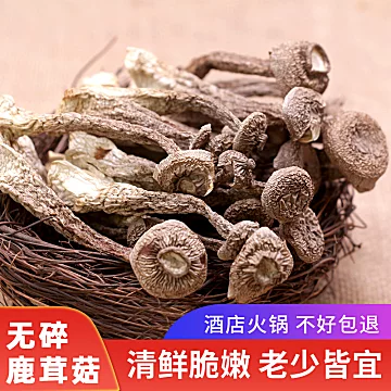 鹿茸菇干货500g云南特产[10元优惠券]-寻折猪