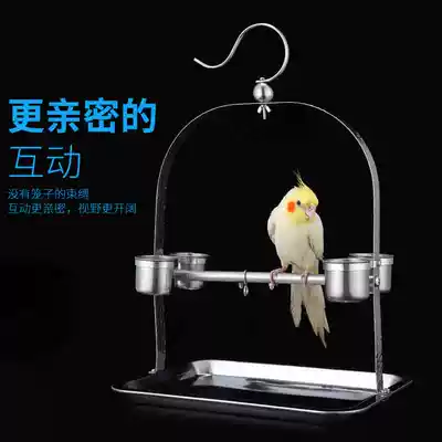 Parrot stand Stainless steel tiger skin peony small sun shrike small bird cage supplies Foot ring Anklet bird rack