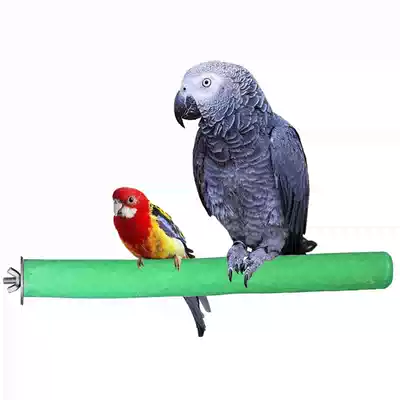 Parrot supplies utensils grinding claws grinding teeth sand sticks Pepper Wood starlings bird cage accessories bird toys station stick