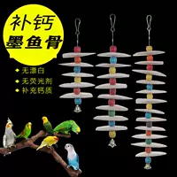 Чернильная рыба -костяная костяная игрушка и пассажиры для птиц с игрушками с птичьими птицами Сюанфенга, кальция и фрезель