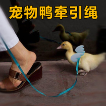 Cole duck traction rope Walking ducklings traction rope Chick goose walking rope Pet duck traction rope tied rope cute