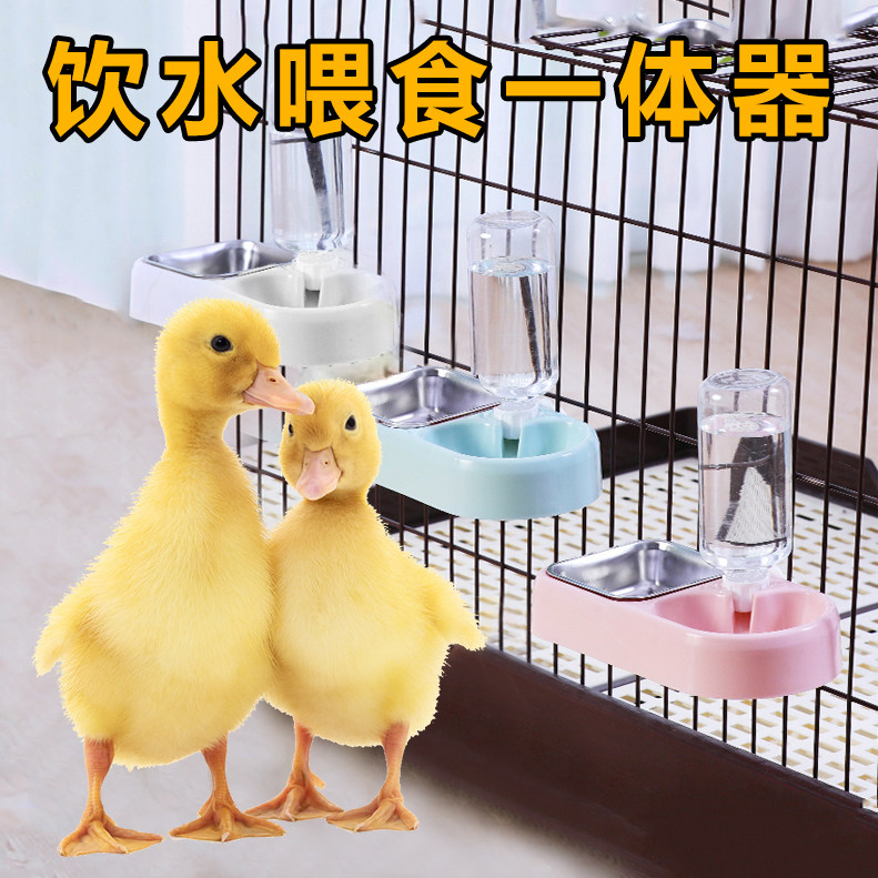 Duck feeder Food bowl hanging pet Cole duck anti-step over special products Chicken eating bowl automatic drinking water