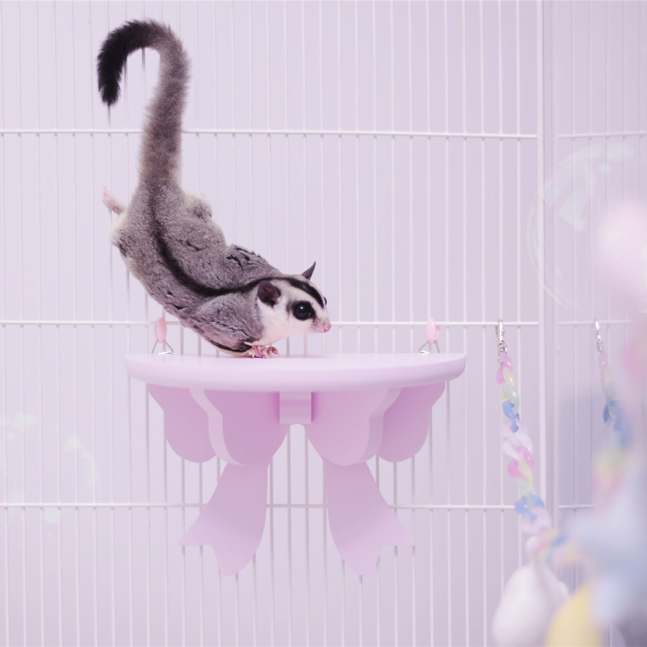 Honey bag climbing toy squirrel swing rat staircase rabbit jewelry hamster climbing rope platform cage decoration