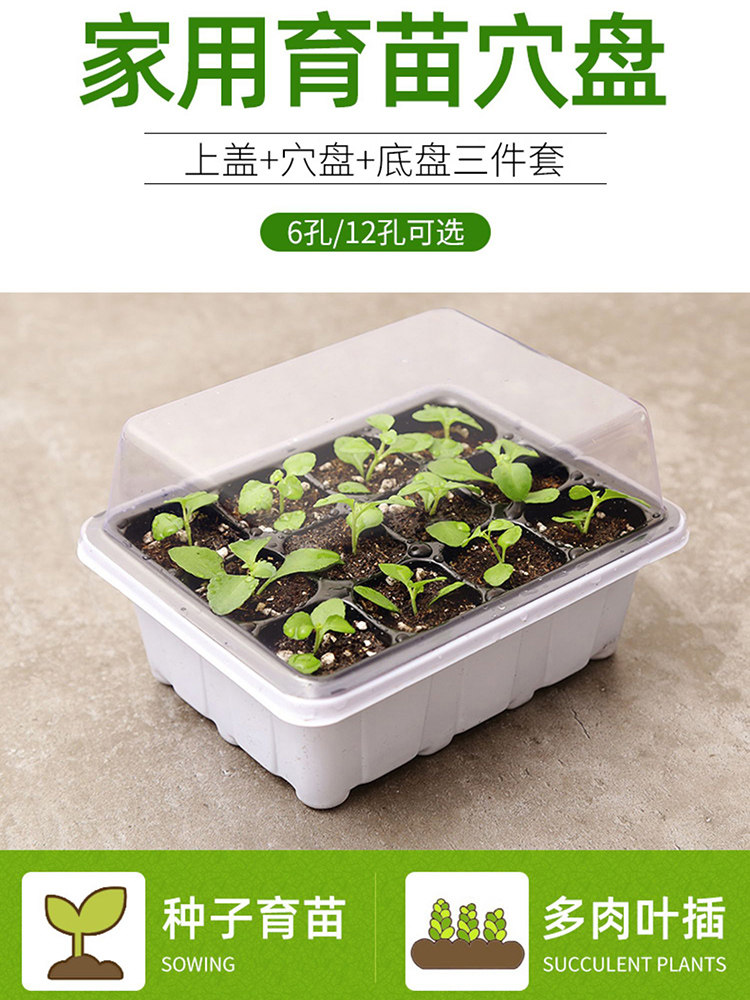 Special pots for cuttings and seedlings Nutrition pots Earth god monthly cuttings pots succulent artifacts Strawberry hole plate cup plastic