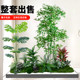 Simulated Plant Landscaping for Balcony, Indoor Staircase Decoration with Artificial Flower Trees, Bionic Green Plant Landscaping Combination