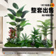 Simulated plant landscaping balcony landscape layout indoor artificial flower tree decoration under the stairs bionic green plant landscaping combination