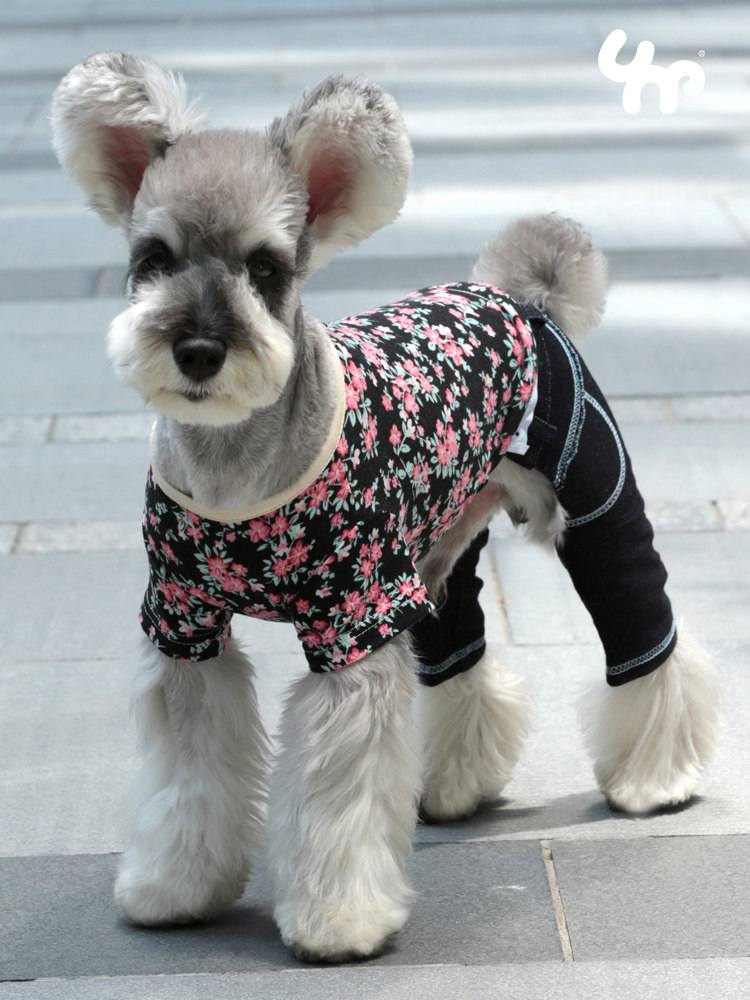 Unpet Baojuan pet clothes small floral short-sleeved sports T-shirt cotton comfortable elastic round neck top summer