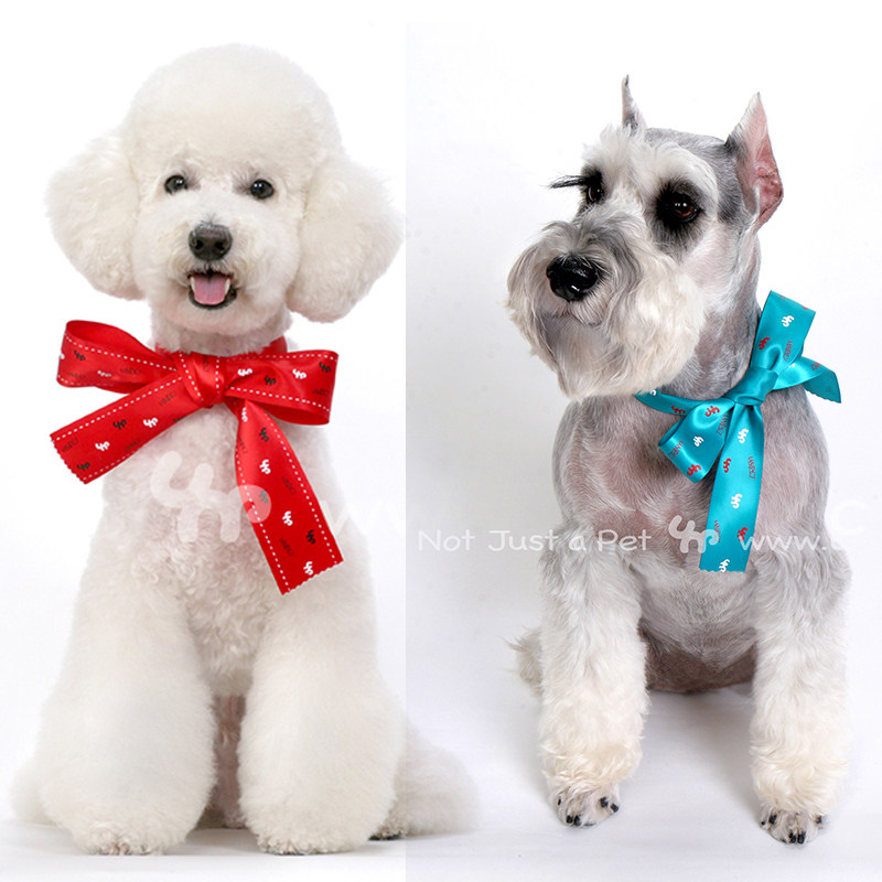 Unpet Baojuan pet dog jewelry exquisite ribbon Festival party pet with red scarf and green scarf