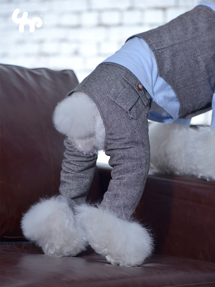 Unpet Baojuan pet dog twill wool suit pants autumn and winter to go out slim all-match three-dimensional pocket pants