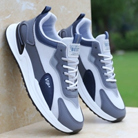 Серый 332 сетка