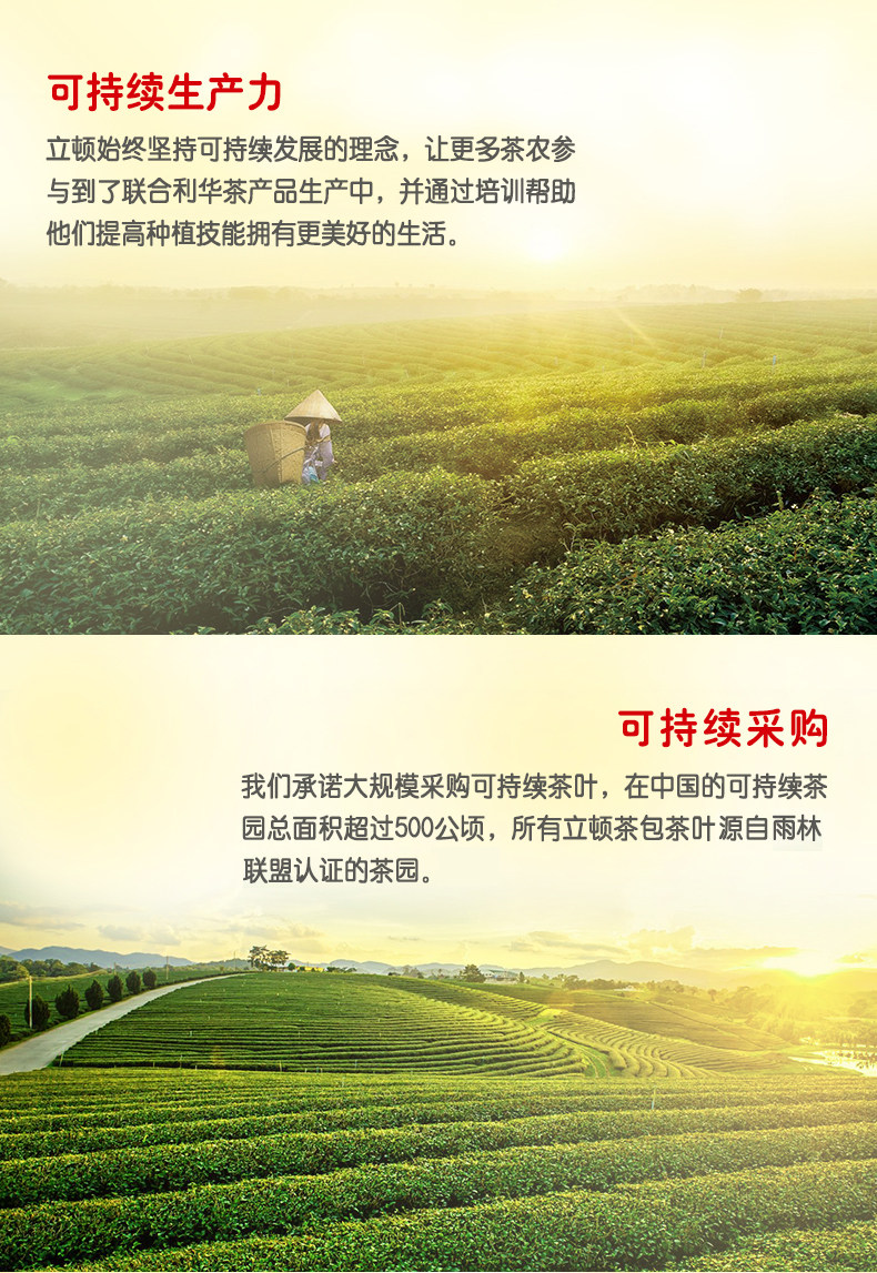 天猫超市 立顿 雨林联盟认 黄牌精选红茶 100包 图8