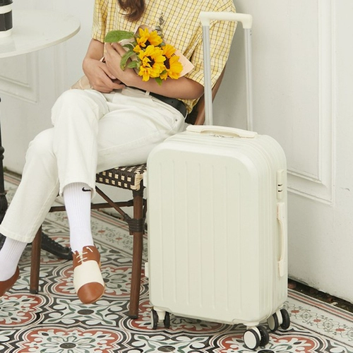 Японский свежий прочный брендовый чемодан, популярно в интернете