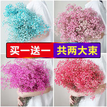 Gypsophila flower bouquet Eternal Rose gift box Chinese Valentines Day birthday gift for girlfriends