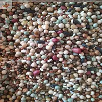 Двадцать фунтов пищевых зерен без кукурузы