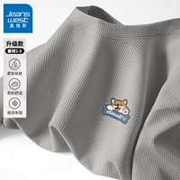 Светлый серый #little shiba inu