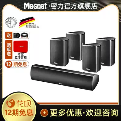Magnat Dense Force Needle Alu Sat5 0 satellite fashion metal home living room home theater speaker