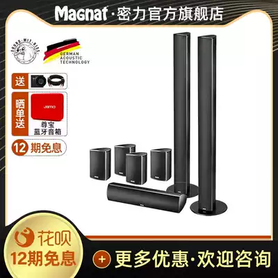Magnat Dense Force Needle Alu 7 0 household metal fashion sound column living room home theater speaker