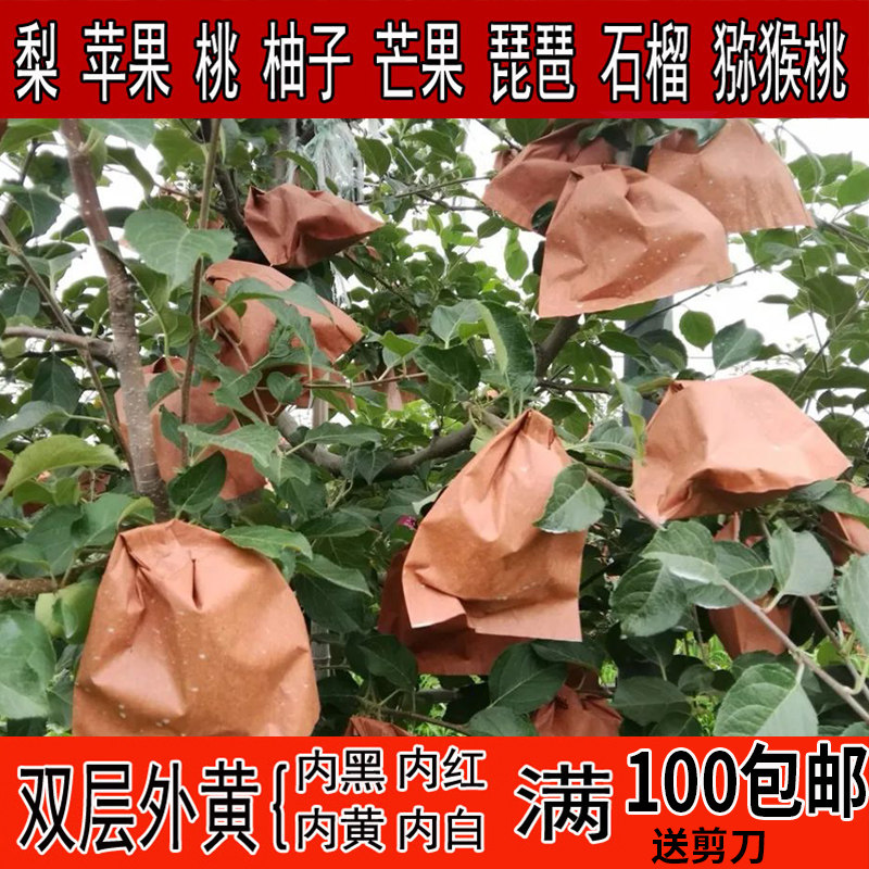 Loquat Bagging Special Paper Bag bag Grape Bag Fruit Pear Fruit Pears No Fig Citrus Bag Antifreeze Peach