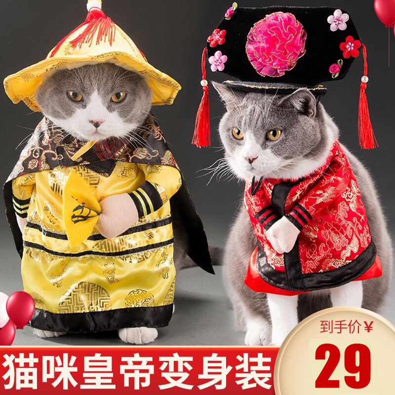 Funny kitty clothes shake the same net red cute pets to blame for summer autumn and winter evil with dog clothes small dogs