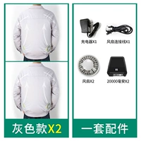 (Серые 2 штуки+1 набор аксессуаров) с 4W -батареем