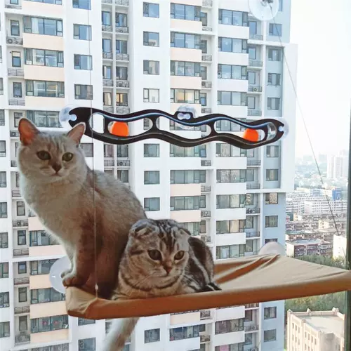 Кошка поднимается на стену в стиле кошачья подвеска кошачья кровать всасывание